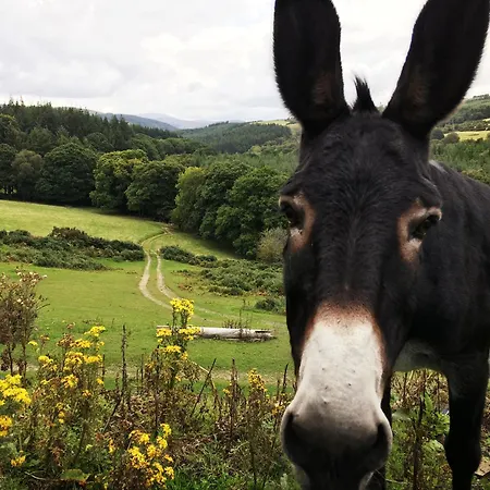 Clara Vale Retreat راثدروم